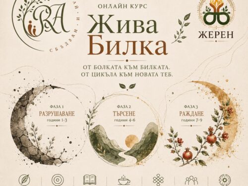 9 портала към теб